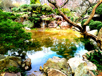 Japanese Garden Reflecting Pool